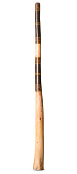 Jesse Lethbridge Didgeridoo (JL147)